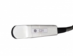 C31