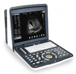RS880d